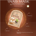 OEM Premium Snail Hydrating Moisturizing Skin Repair Facial Mask Sheet Tired Skin Care